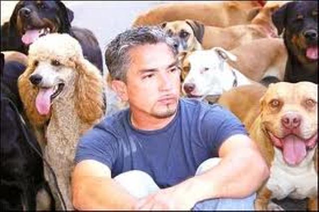 Cesar Millan, el encantador de perros